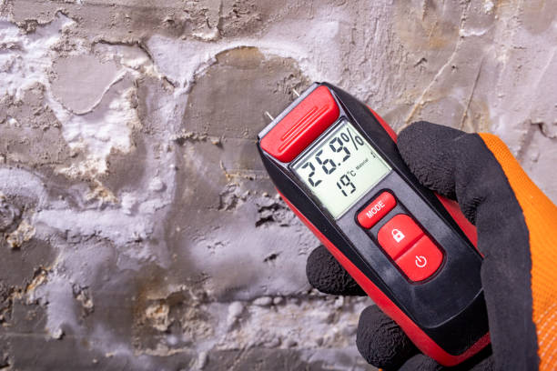 Best Professional Mold Removal  in Catahou, LA