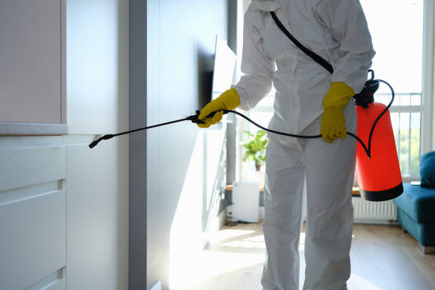 Best Attic Mold Removal  in Catahou, LA
