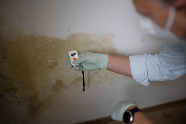 Best Crawl Space Mold Removal  in Catahou, LA