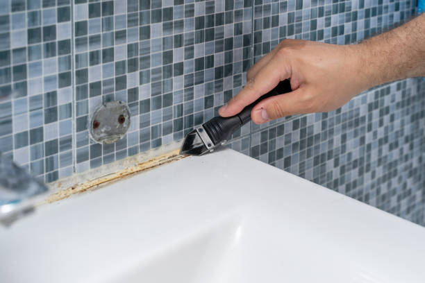 Best Toxic Mold Removal  in Catahou, LA