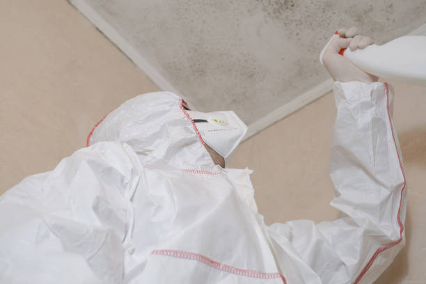 Office Mold Removal Services in Catahoula, LA