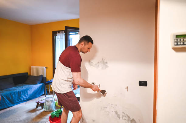 Best Office Mold Removal Services  in Catahou, LA